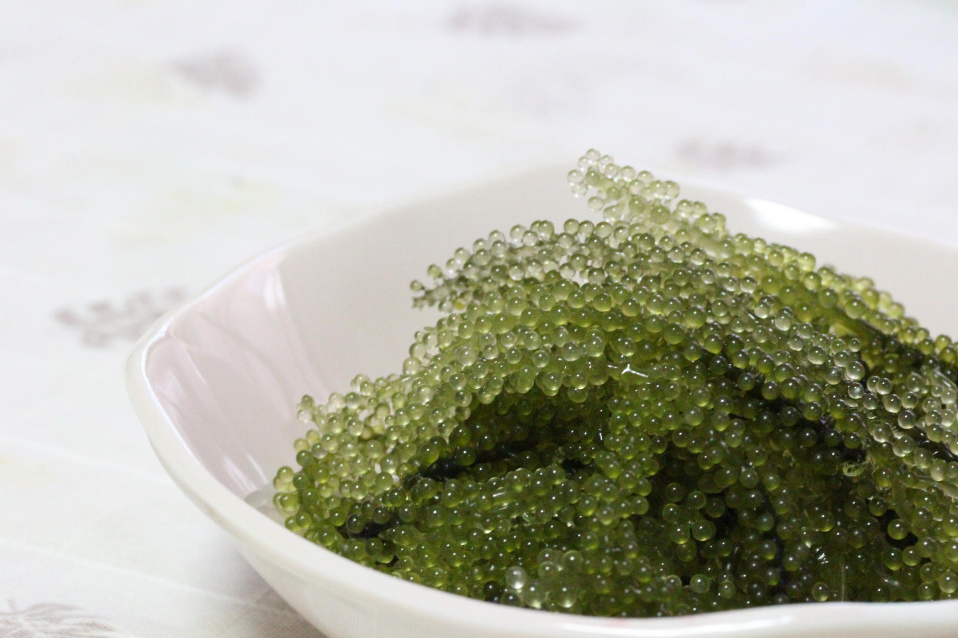 海ぶどうのアイキャッチ画像