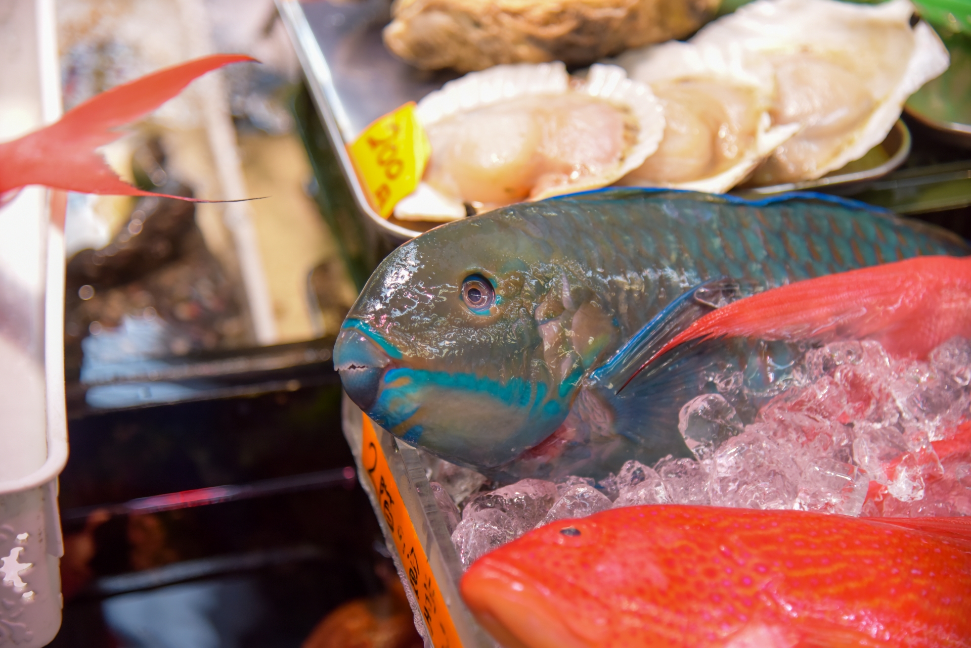 イラブチャーのアイキャッチ画像